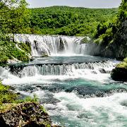 Profile photo of Elmedin Mehadžić